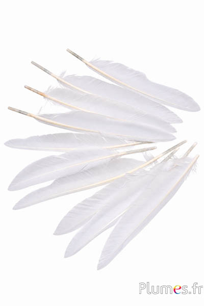 Gans - 12-18 cm - weiss